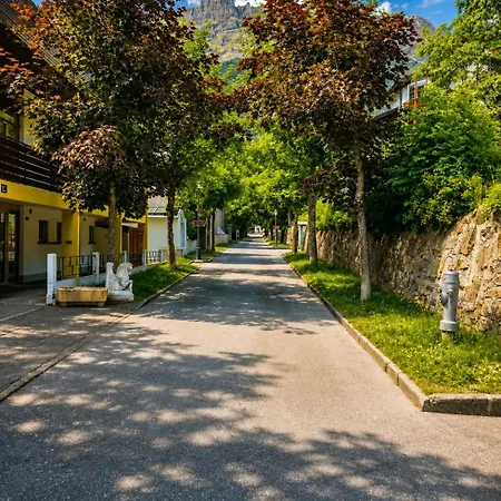 Schlossli-le Petit Chateau Apartahotel Leukerbad