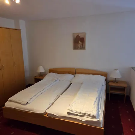 Schlossli-le Petit Chateau Appart hôtel 3*
