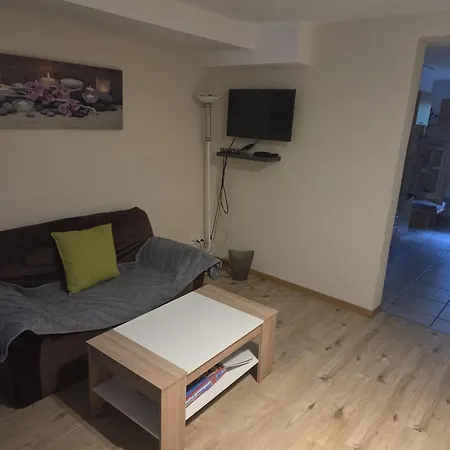 Appart hôtel Schlossli-le Petit Chateau 3*